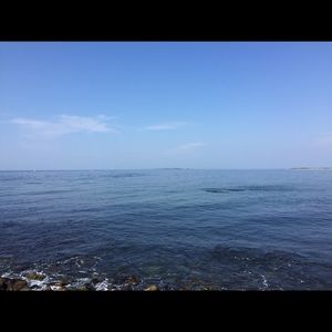 Meet your Posher, Sasha